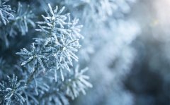 ������Ҫ���ϸ�˵�Ļ� ����Բο���Щ��