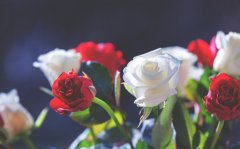 <b>һظ Ҫô</b>