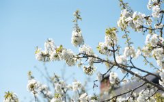 ��������ǰ���� ��������Ƶ��ȥɧ�ŶԷ�