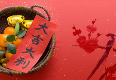 տҪ飿ѡյҪעʲô