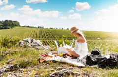 �����ص���������̽�����������ʰ