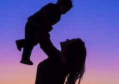 ��ϱ��ϵ����ദ���ܺ�г�������ɷ������