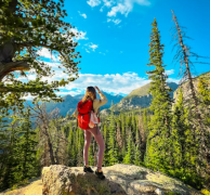 ��������Ҫ�����ְ�ο ��ο����Щ����