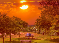 ���ڿڱ��õ������ػ�����������Щ�أ�