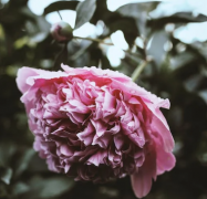 ֺϻô⣿Ѳ˰ֺϻƽ̨Ƽ