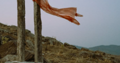յݣǵ˼άȥӦԣɻᷳ