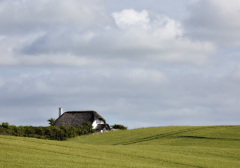 ���Ѳ��Ͻ����ֻ������������� �������ʦ���㴦����������