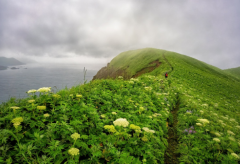 ͬ������ף�����θ�ͬ���������ĵ�ף��