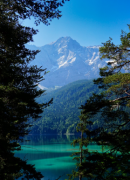 ͬ����ô�ƺ�������ڹ����б�����ò������