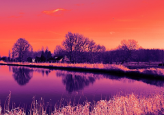 ���������������� ���н�����ʶ�������