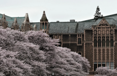 ȷ����Ů���ѹ�ϵ ����Ѷ�Ž��������Ը