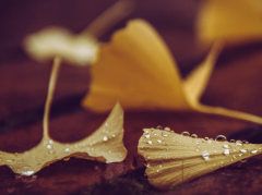 �й���Ȣ�޵�����ʡ ��������û�������ڵ�ʡ��