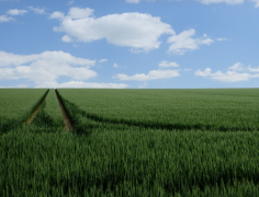 ��û�зǳ��õ���ذ���ķ��� ֮ǰ��ز��ɹ������ѿ�����һ��