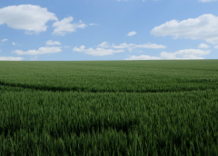 ��������������ô�� �����ѯ������صķ����Ƽ�