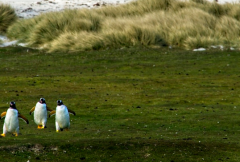 ���ֺ���ô�������ǰ���ѣ�����Ч�������ǰ���ѵķ���