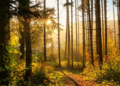 �����ز�����ǰ���ѣ���̬����Ҫ