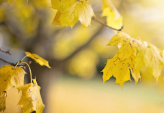 ��ظ��鷽������Ӧ����ô�� ���Ů��������