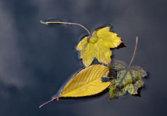 �����ػ����ĳ�����·����Щ �����������ǵ�Ȩ��