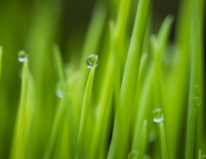 ��ظ��鷽������Щ ��Ҫ��ظ���Ŀ�һ��