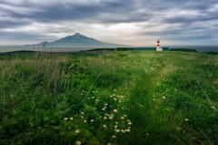 Ϊʲô����� ���ֺ�������������