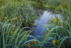 ��������������ô�� ���㻯�����Σ��