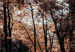 �������޸����С������ʲô �ܽ�����