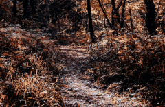 ���������ô�죬4�����������Ǻͺ�