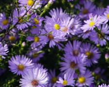 ����Ů�Ѳ�����֮�£���3����ǧ��Ҫ����