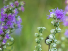 �󰮱��䣬����ô׷ϲ�����к���