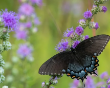 �������۳�������ż��׼����ʲô��������������ϲ��