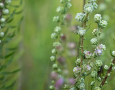 �����ά����Ҫ�ؾ� ���������κ������Ǻ���Ҫ��