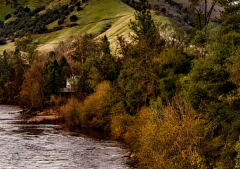 �ܺõĹ���ͻȻ��ϵ����䵭����������仯