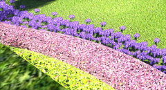 ����֮�䷢��ì����,4�������������ɽ�����ǵ�����