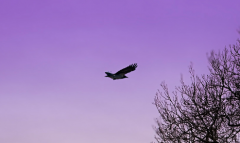 дͺϷҪʲô Ϸ͸Ϊǿ