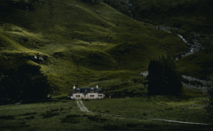 ºͺ÷ξʲô˼ǲǱʾûгɹ