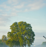 νĺʲô˼ Ů˰ִ˵ʲô