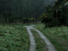 <b>��ô��һ���˶������ת�⣬4�������ǳɹ�����</b>