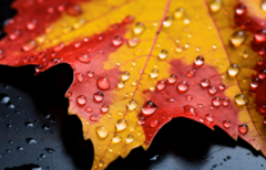 ���¼����䵭��ô�죬�ø������µ�3�ַ�������