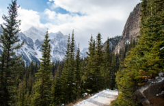 ���ֺ�����׷�ذ��£�3�а���׷�ضԷ�