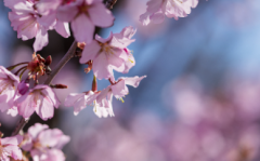 ����Ӧ����δ����������⣬������һ��Ҫ��ʱ���