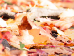 ������޳�����λ��� ������Ҫ�������ľ�Ӫ