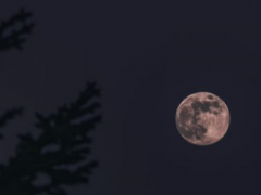 ΪʲôڵĶϱ֪㣬Ҫߣǲ