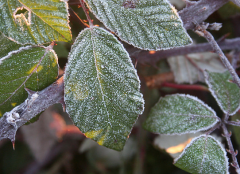 ʹ�ø���ͺϷ��������˵��� �ͺϷ���ν�������