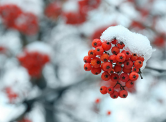 ���޺ͺϷ���Ч����ʱ�� �����Է�Ҫ��ô���ܳɹ�