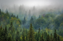 �ð��˻���ת��ķ���������һ�п��ٸ��ϵķ���